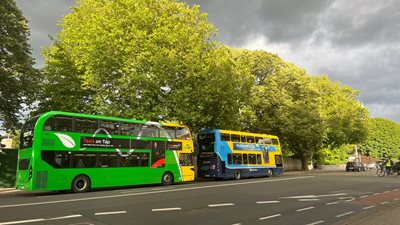 buses lined up on road